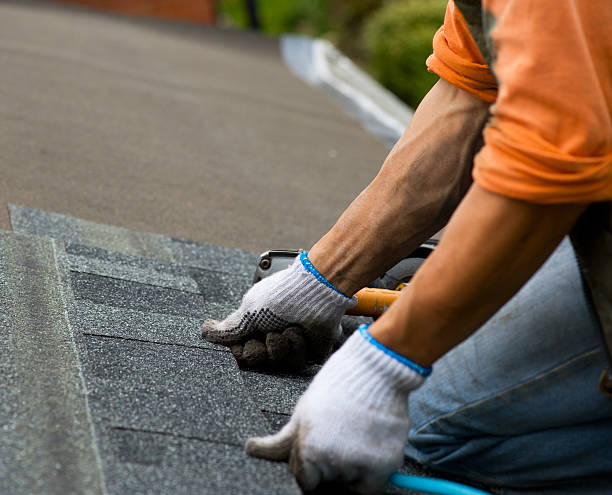 Roof Repair Estimates in Brazoria, TX